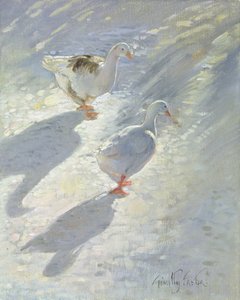 斜面に対して 作： Timothy Easton